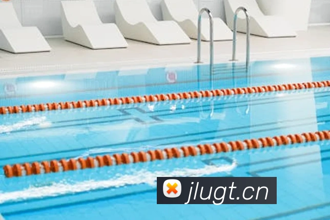 星空体育综合体育入口发展历程